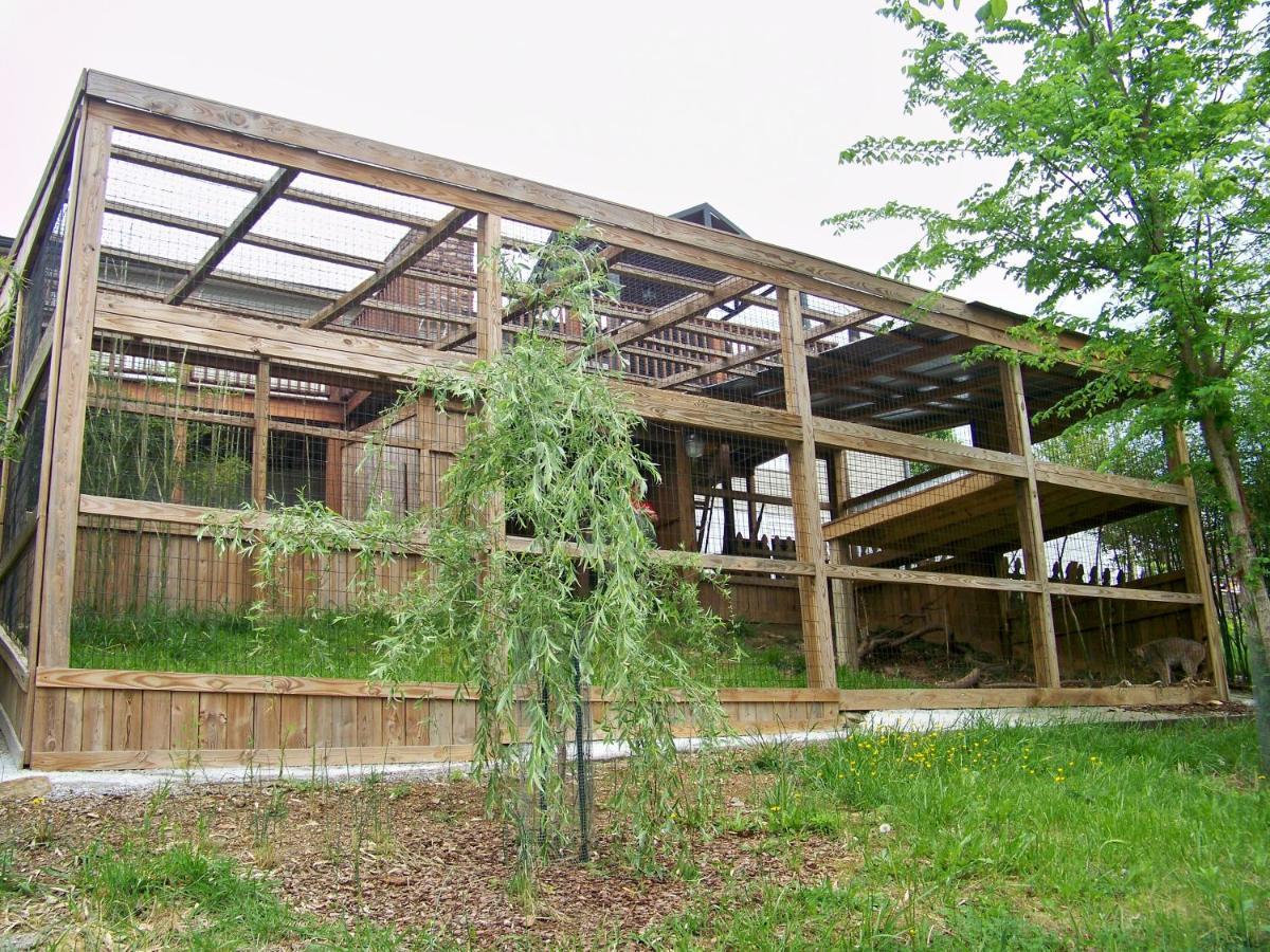 Private Pet Friendly Home Near Exotic Deer Farm Close To Pigeon Forge, Gatlinburg Tn セバービル エクステリア 写真