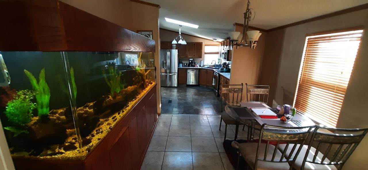 Private Pet Friendly Home Near Exotic Deer Farm Close To Pigeon Forge, Gatlinburg Tn セバービル エクステリア 写真
